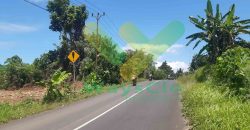 DIJUAL CEPAT TANAH SANGAT STRATEGIS DAN MURAH DAERAH MAPANGET, HARGA DI BAWAH PASARAN
