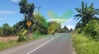 DIJUAL CEPAT TANAH SANGAT STRATEGIS DAN MURAH DAERAH MAPANGET, HARGA DI BAWAH PASARAN
