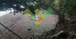 DIJUAL CEPAT TANAH CANTIK PINGGIR PANTAI DAERAH MANADO, HARGA SANGAT MURAH
