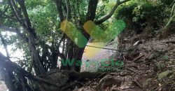 DIJUAL CEPAT TANAH CANTIK PINGGIR PANTAI DAERAH MANADO, HARGA SANGAT MURAH