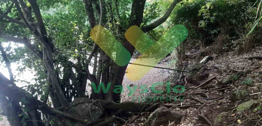DIJUAL CEPAT TANAH CANTIK PINGGIR PANTAI DAERAH MANADO, HARGA SANGAT MURAH