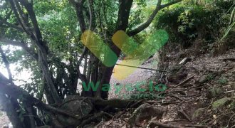 DIJUAL CEPAT TANAH CANTIK PINGGIR PANTAI DAERAH MANADO, HARGA SANGAT MURAH
