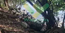 DIJUAL CEPAT TANAH CANTIK PINGGIR PANTAI DAERAH MANADO, HARGA SANGAT MURAH