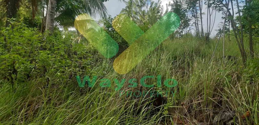 DIJUAL CEPAT TANAH CANTIK PINGGIR PANTAI DAERAH MANADO, HARGA SANGAT MURAH
