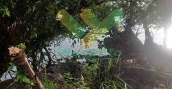 DIJUAL CEPAT TANAH CANTIK PINGGIR PANTAI DAERAH MANADO, HARGA SANGAT MURAH