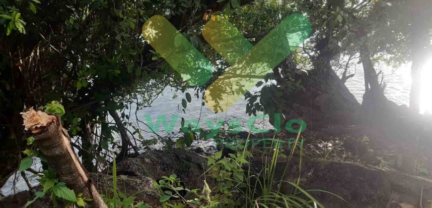 DIJUAL CEPAT TANAH CANTIK PINGGIR PANTAI DAERAH MANADO, HARGA SANGAT MURAH