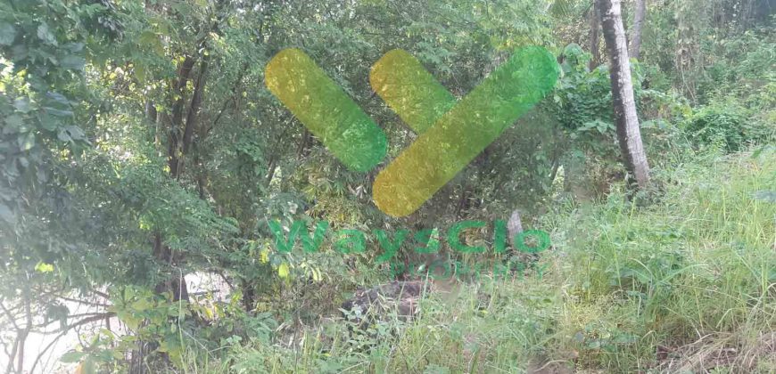 DIJUAL CEPAT TANAH CANTIK PINGGIR PANTAI DAERAH MANADO, HARGA SANGAT MURAH
