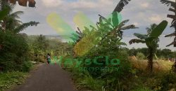 DIJUAL CEPAT TANAH CANTIK PINGGIR PANTAI DAERAH MANADO, HARGA SANGAT MURAH