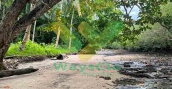 DIJUAL CEPAT TANAH CANTIK PINGGIR PANTAI DAERAH LIKUPANG, HARGA SANGAT MURAH