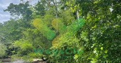DIJUAL CEPAT TANAH CANTIK PINGGIR PANTAI DAERAH LIKUPANG, HARGA SANGAT MURAH