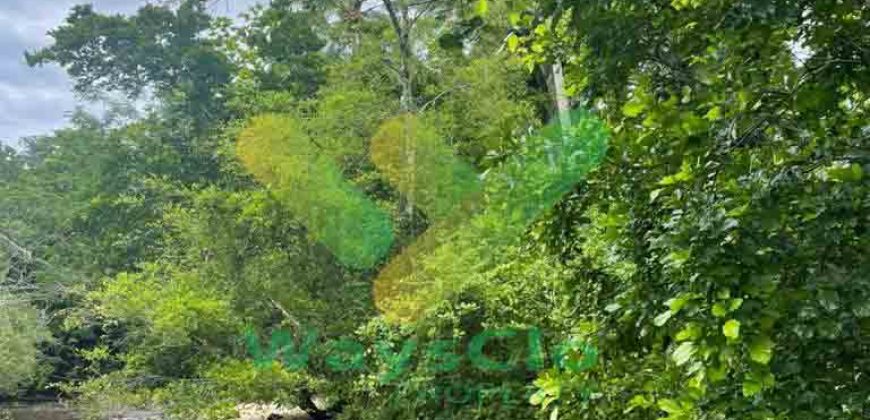 DIJUAL CEPAT TANAH CANTIK PINGGIR PANTAI DAERAH LIKUPANG, HARGA SANGAT MURAH