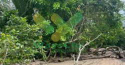 DIJUAL CEPAT TANAH CANTIK PINGGIR PANTAI DAERAH LIKUPANG, HARGA SANGAT MURAH