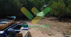 DIJUAL CEPAT TANAH CANTIK PINGGIR PANTAI DAERAH LIKUPANG, HARGA SANGAT MURAH