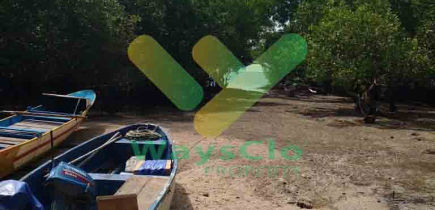 DIJUAL CEPAT TANAH CANTIK PINGGIR PANTAI DAERAH LIKUPANG, HARGA SANGAT MURAH
