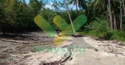 DIJUAL CEPAT TANAH CANTIK PINGGIR PANTAI DAERAH LIKUPANG, HARGA SANGAT MURAH