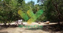 DIJUAL CEPAT TANAH CANTIK PINGGIR PANTAI DAERAH LIKUPANG, HARGA SANGAT MURAH