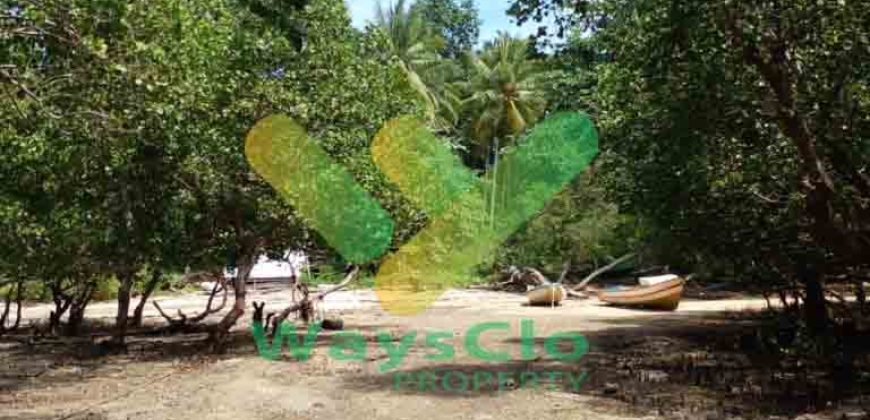 DIJUAL CEPAT TANAH CANTIK PINGGIR PANTAI DAERAH LIKUPANG, HARGA SANGAT MURAH