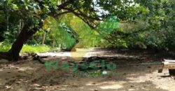 DIJUAL CEPAT TANAH CANTIK PINGGIR PANTAI DAERAH LIKUPANG, HARGA SANGAT MURAH