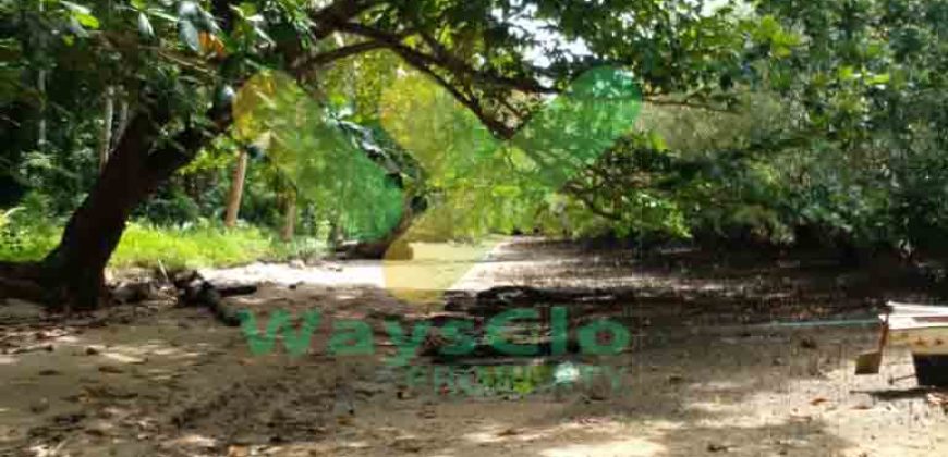 DIJUAL CEPAT TANAH CANTIK PINGGIR PANTAI DAERAH LIKUPANG, HARGA SANGAT MURAH