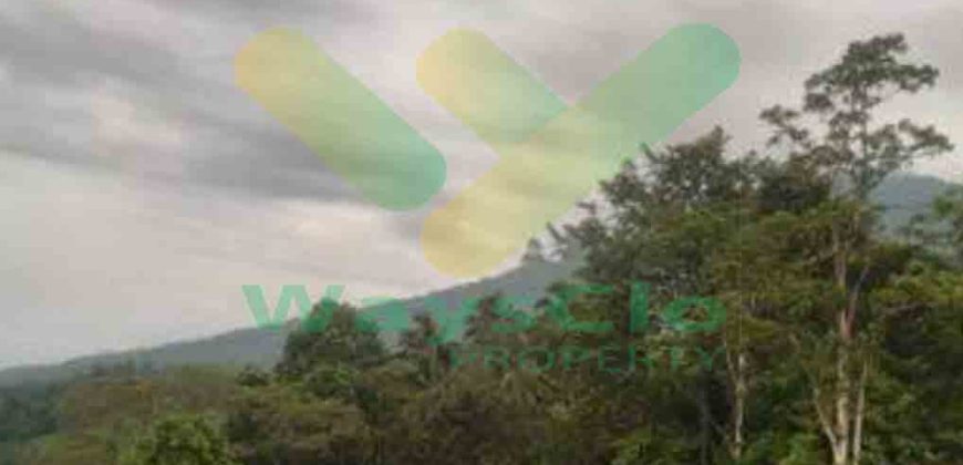DIJUAL CEPAT TANAH PARIWISATA CANTIK VIEW PULAU LEMBE BITUNG, HARGA SANGAT MURAH