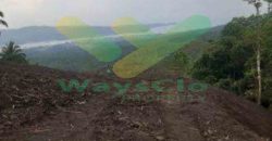DIJUAL CEPAT TANAH PARIWISATA CANTIK VIEW PULAU LEMBE BITUNG, HARGA SANGAT MURAH