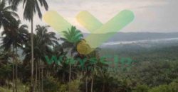 DIJUAL CEPAT TANAH PARIWISATA CANTIK VIEW PULAU LEMBE BITUNG, HARGA SANGAT MURAH