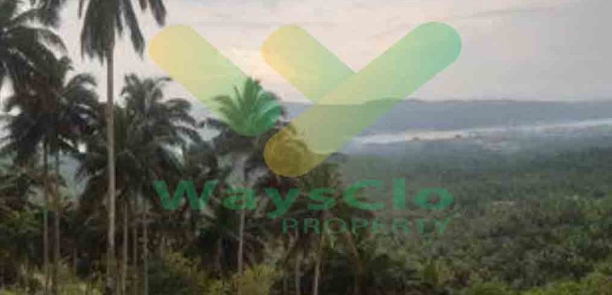 DIJUAL CEPAT TANAH PARIWISATA CANTIK VIEW PULAU LEMBE BITUNG, HARGA SANGAT MURAH