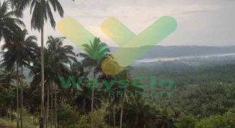 DIJUAL CEPAT TANAH PARIWISATA CANTIK VIEW PULAU LEMBE BITUNG, HARGA SANGAT MURAH