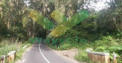 DIJUAL CEPAT TANAH CANTIK DAN MENARIK DAERAH TOMOHON, HARGA SANGAT MURAH