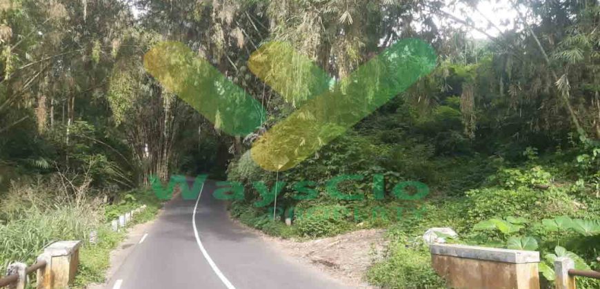DIJUAL CEPAT TANAH CANTIK DAN MENARIK DAERAH TOMOHON, HARGA SANGAT MURAH