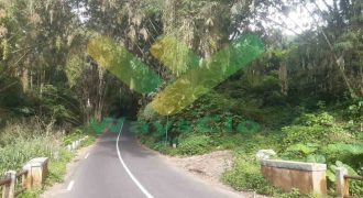 DIJUAL CEPAT TANAH CANTIK DAN MENARIK DAERAH TOMOHON, HARGA SANGAT MURAH