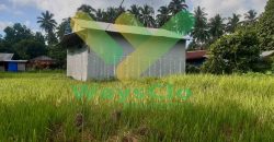 DIJUAL CEPAT TANAH MENARIK DAN STRATEGIS DAERAH MAPANGET, HARGA SANGAT MURAH