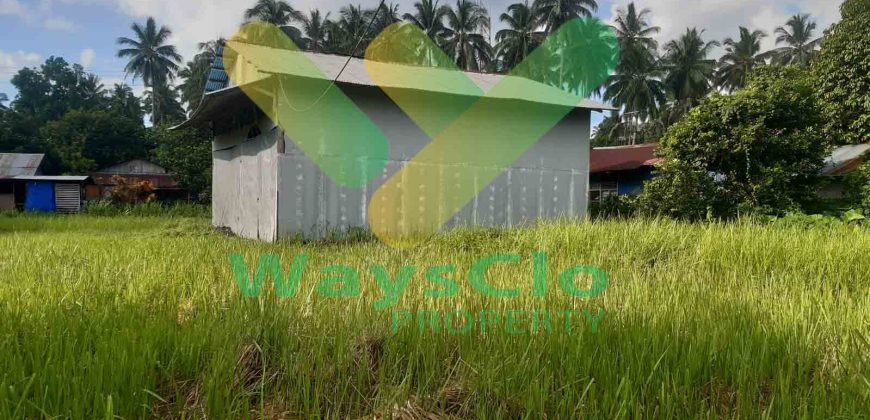 DIJUAL CEPAT TANAH MENARIK DAN STRATEGIS DAERAH MAPANGET, HARGA SANGAT MURAH