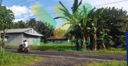 DIJUAL CEPAT TANAH MENARIK DAN STRATEGIS DAERAH MAPANGET, HARGA SANGAT MURAH