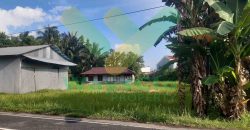 DIJUAL CEPAT TANAH MENARIK DAN STRATEGIS DAERAH MAPANGET, HARGA SANGAT MURAH