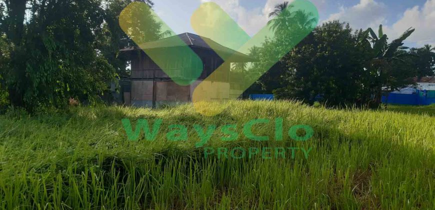 DIJUAL CEPAT TANAH MENARIK DAN STRATEGIS DAERAH MAPANGET, HARGA SANGAT MURAH