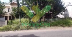 DIJUAL CEPAT RUMAH STRATEGIS DAERAH TIKALA, HARGA SANGAT MURAH