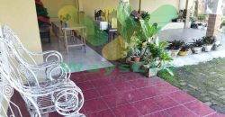 DIJUAL CEPAT RUMAH MENARIK DENGAN TANAH LUAS DI TOMOHON, HARGA SANGAT MURAH