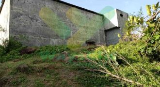 DIJUAL CEPAT TANAH PLUS SARANG WALET DAERAH KALASEY, HARGA SANGAT MURAH