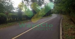 DIJUAL CEPAT TANAH SANGAT STRATEGIS DAERAH MAPANGET, HARGA SANGAT MURAH