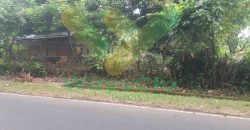 DIJUAL CEPAT TANAH SANGAT STRATEGIS DAERAH MAPANGET, HARGA SANGAT MURAH