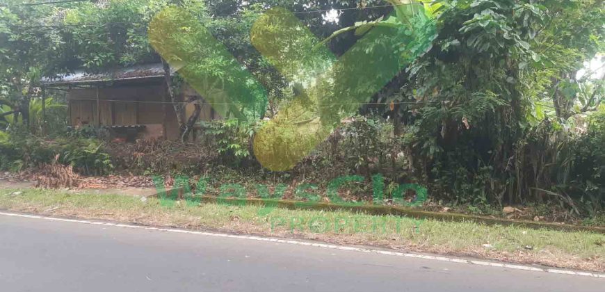 DIJUAL CEPAT TANAH SANGAT STRATEGIS DAERAH MAPANGET, HARGA SANGAT MURAH