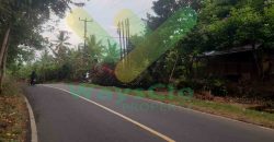 DIJUAL CEPAT TANAH SANGAT STRATEGIS DAERAH MAPANGET, HARGA SANGAT MURAH