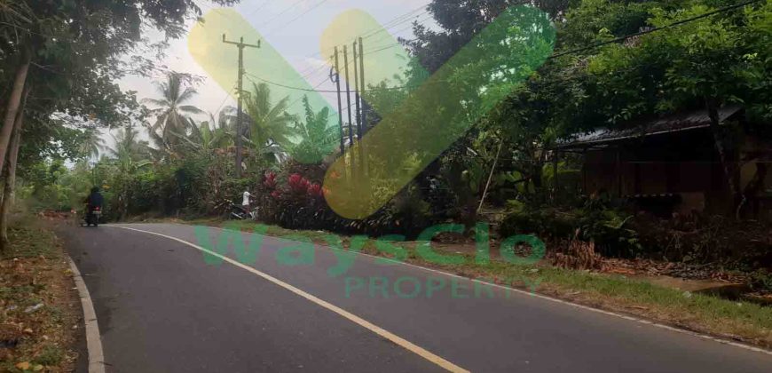 DIJUAL CEPAT TANAH SANGAT STRATEGIS DAERAH MAPANGET, HARGA SANGAT MURAH