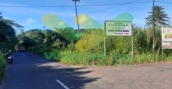 DIJUAL CEPAT TANAH CANTIK DAN STRATEGIS DAERAH MAPANGET, HARGA SANGAT MURAH