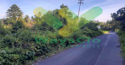 DIJUAL CEPAT TANAH CANTIK DAN STRATEGIS DAERAH MAPANGET, HARGA SANGAT MURAH