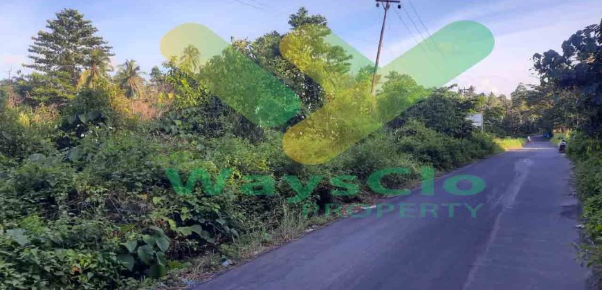 DIJUAL CEPAT TANAH CANTIK DAN STRATEGIS DAERAH MAPANGET, HARGA SANGAT MURAH
