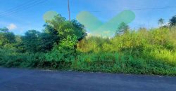 DIJUAL CEPAT TANAH CANTIK DAN STRATEGIS DAERAH MAPANGET, HARGA SANGAT MURAH