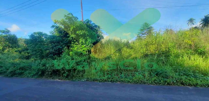 DIJUAL CEPAT TANAH CANTIK DAN STRATEGIS DAERAH MAPANGET, HARGA SANGAT MURAH