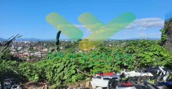 DIJUAL CEPAT TANAH CANTIK VIEW MANADO DAERAH WINANGUN, HARGA SANGAT MURAH